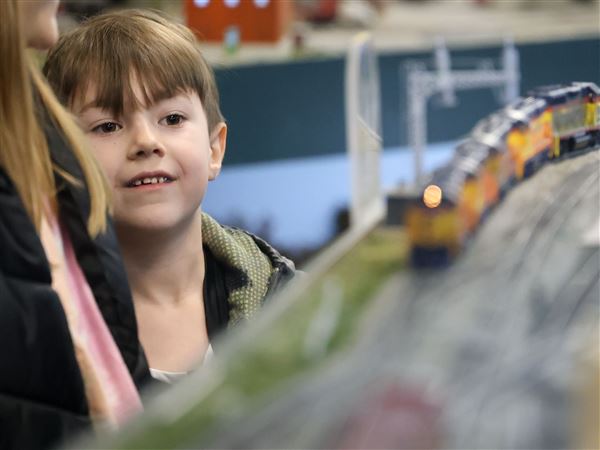 Model trains impress at Blissfield club's monthly open house