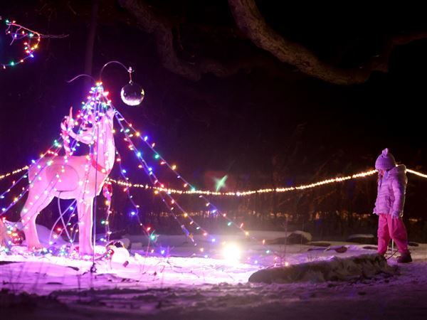 Photo Gallery: Wild Lights Weekend at W.W. Knight Nature Preserve in Perrysburg