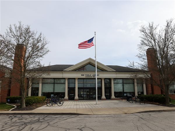 Wintertime family fun at Way Public Library