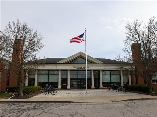 Wintertime family fun at Way Public Library