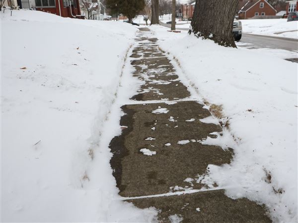 Sidewalk repair notices startle residents in West Toledo
