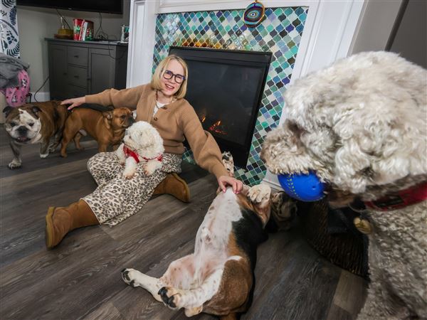 What’s in a (dog) name? Bella No. 1 locally, but variety abounds