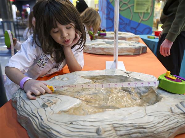 Budding paleontologists amazed by prehistoric program