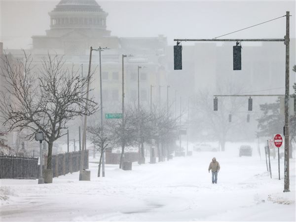 Library delays Tuesday hours; zoo stays closed through Sunday