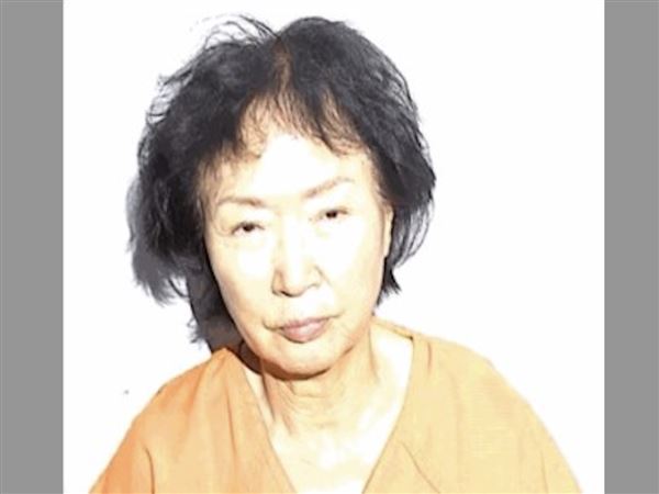 Brothel madam caught in sweep gets probation after felony plea