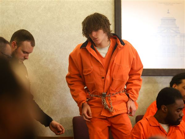 Youth pleads not guilty to adult charges in Point Place stabbing