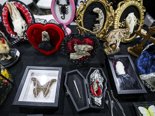 Photo Gallery: Michigan Oddities and Horror show