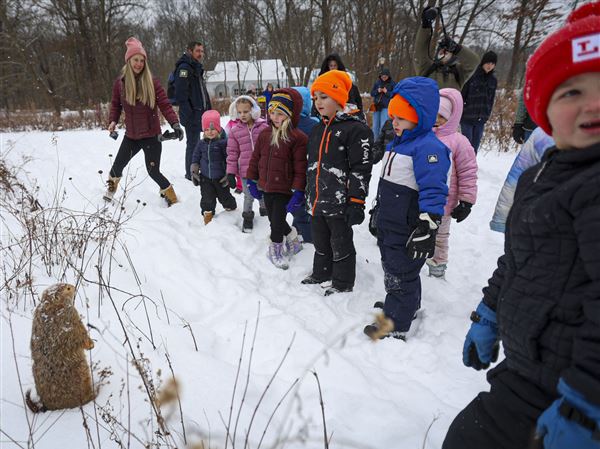 Photo gallery: Groundhog Day scavenger hunt at Wildwood