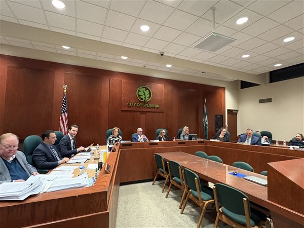 Sylvania City Council delays discussion limiting relationship with ICE