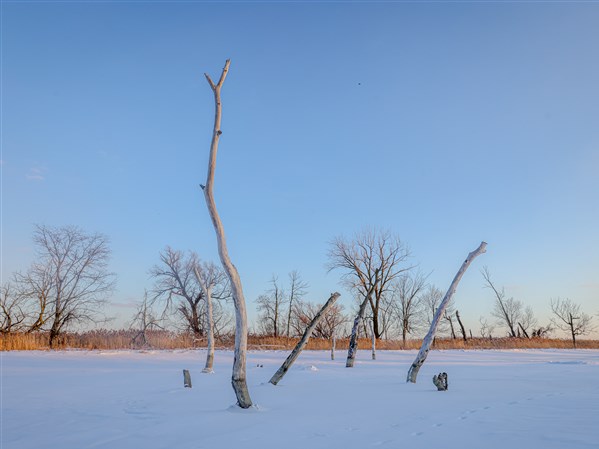 Isles of ice: Frozen masses entice nature photography on the Maumee River