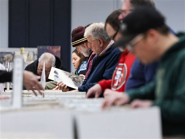 Collectors and sellers alike tune into record show