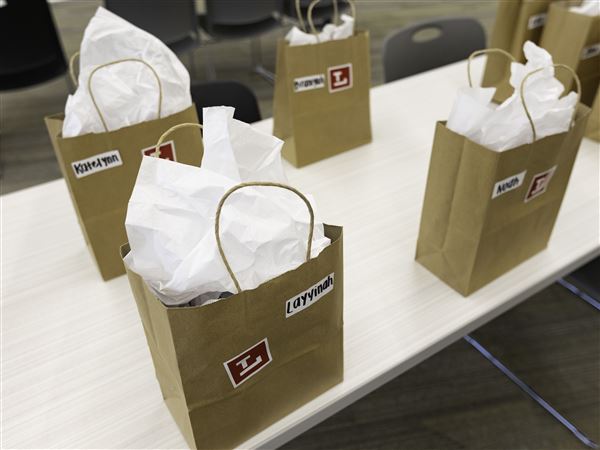 Library writing contest opens with an imaginary theme for K-12 youth