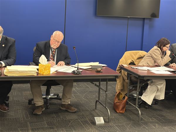 Local elections shape up ahead of May primary