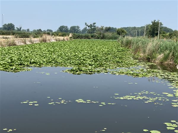 H2Ohio likely to continue with whomever is elected Ohio's next governor