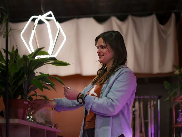 Couple's plant nursery started in Toledo returns home in Davis Building