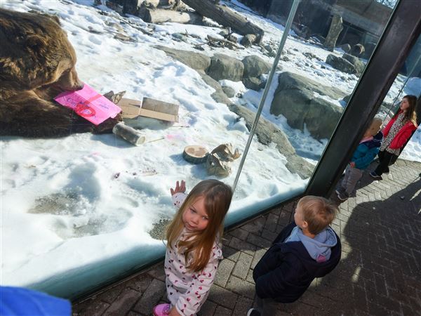 Photo gallery: Happy Hearts Day celebrated at Toledo Zoo