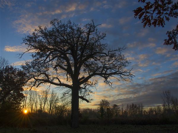 Five poets encapsulate inspiration from five Metroparks
