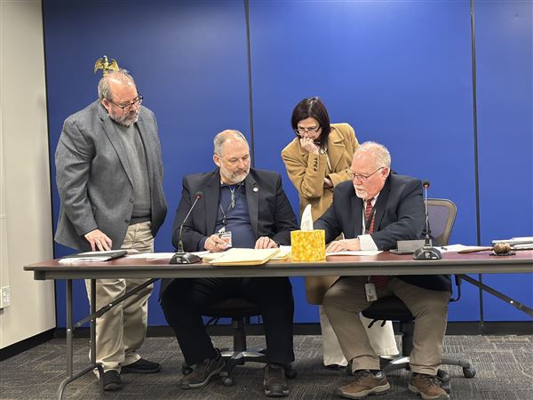 Republicans make it on primary ballot for key races as write-in candidates