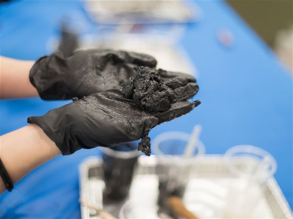 Middle schoolers get hands-on engineering experience at UT