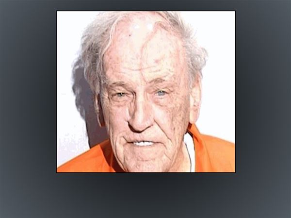 Toledo man gets 20 years in prison for child porn conviction