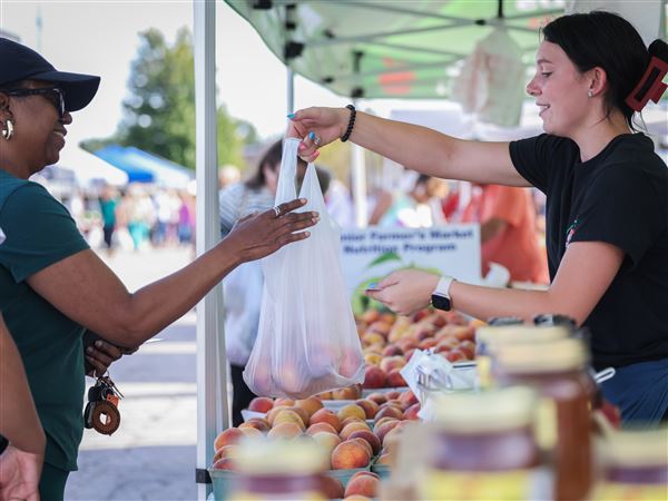 No farmers' market at Westgate this season