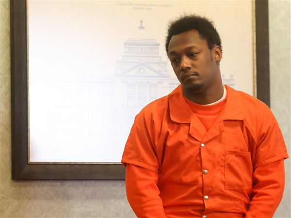 Whitmer shooting lookout pleads to felonious assault charges