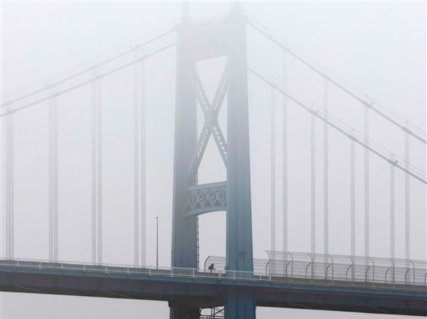 Photo gallery: Best pictures for week ending March 5