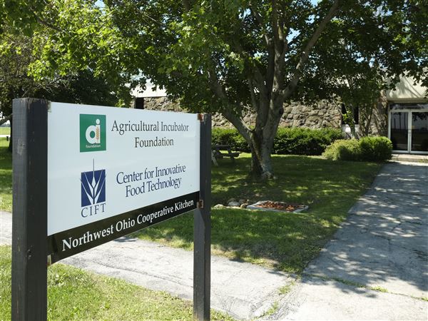 Brew specialty latte sales to support NOCK