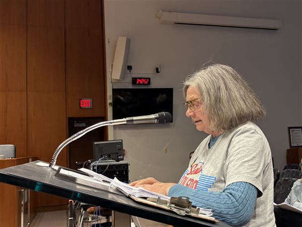 Plan commission delays decision on proposed solar field in Old South End