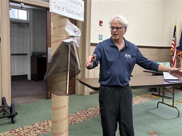 Maumee residents learn ways to deal with lanternflies