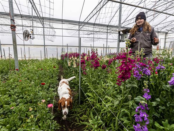 What’s behind Whiteford Township’s water woes?