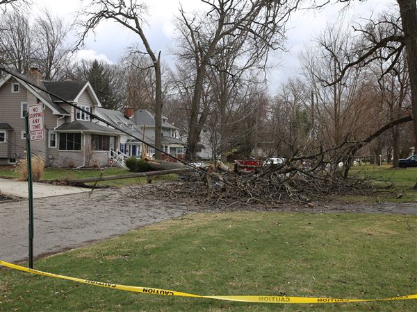 Toledo councilman accuses FirstEnergy of ‘failing residents’ after weekend power outages