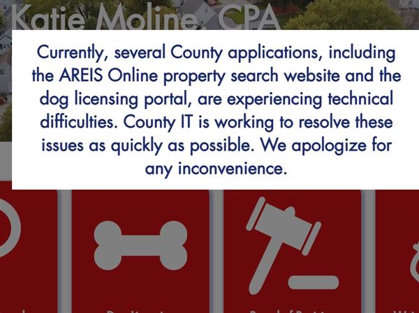Auditor’s property, dog licensing portals down in Lucas County