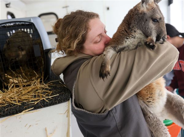 Photo Gallery: Exotic animal meet and greet for Owens students