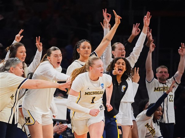 michigan state hockey