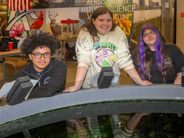 Senior’s stingray project becomes family effort as siblings prepare to continue care
