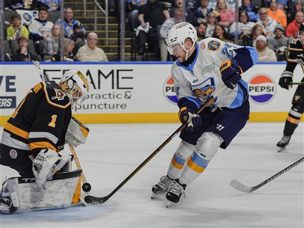 Walleye defenseman, alternate captain Swoyer retires