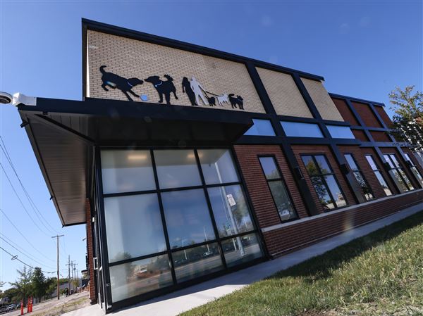 LC4 to host meeting in search of potential partners