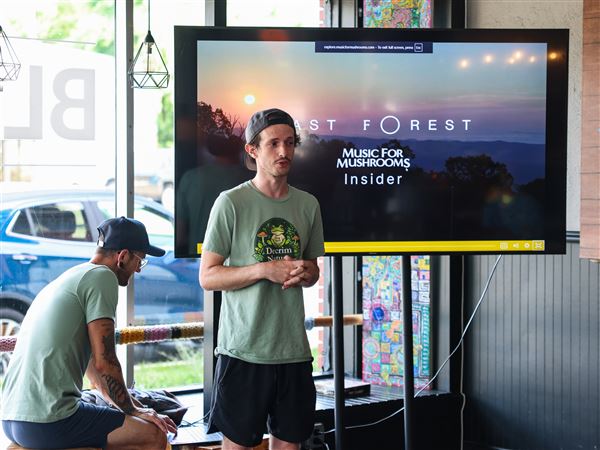 New local group seeks decriminalization of psychedelic plants and fungi