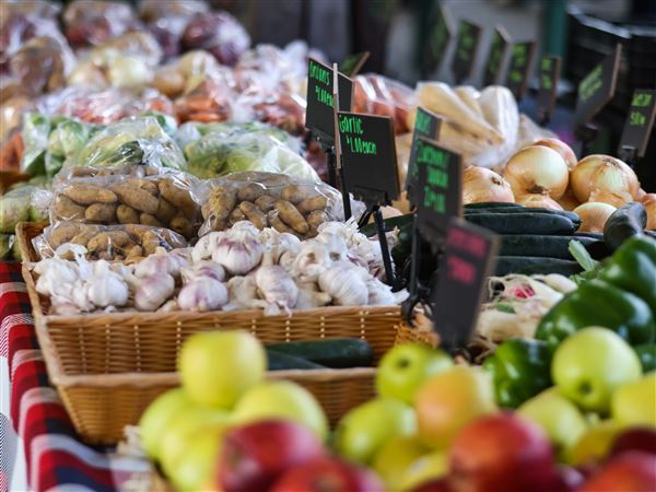 New study links healthy diet to reversing dementia risk
