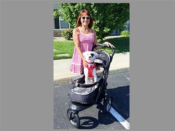 Powell: Woman and dog support each other