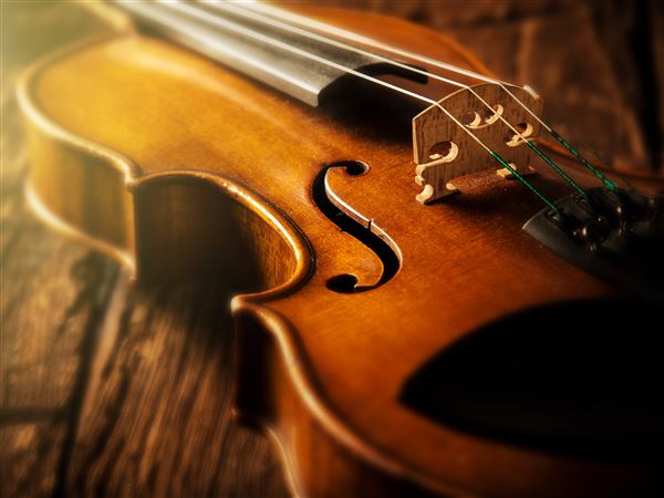 Public showcase to culminate music camp