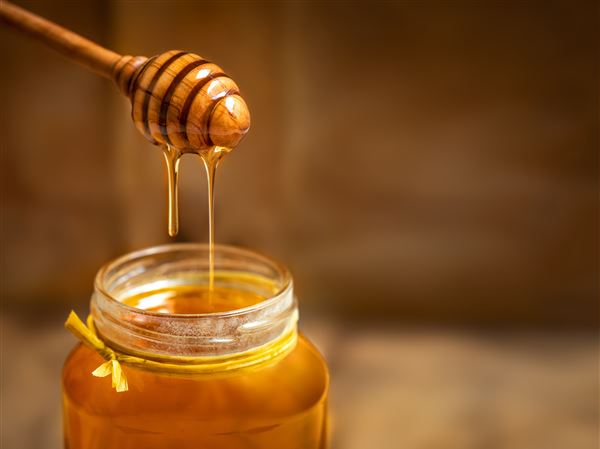 Discover why bees matter and harvest honey at seminar