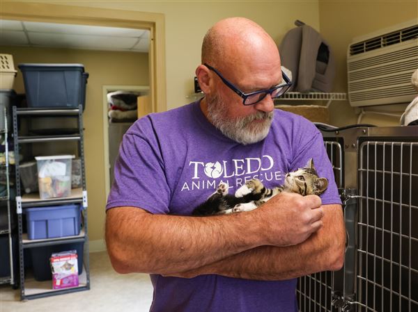 Local animal shelters deal with influx of drop-offs, surrender requests