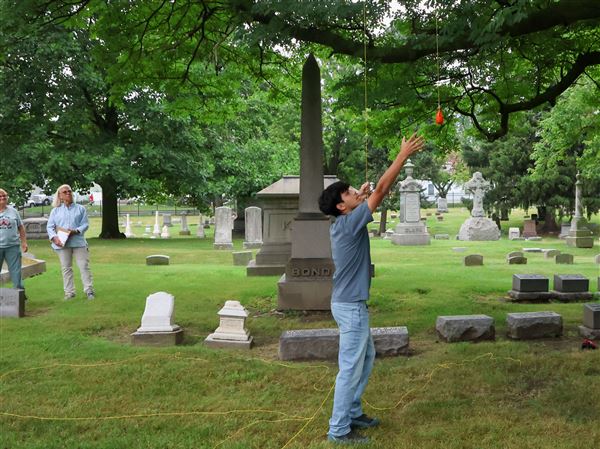 Tree by tree, Toledo teens climb, prune, and protect city’s urban forest