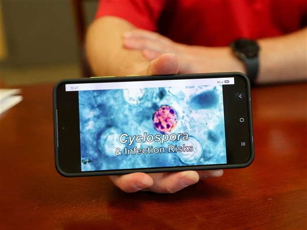 No new cyclosporiasis infections in Lucas County