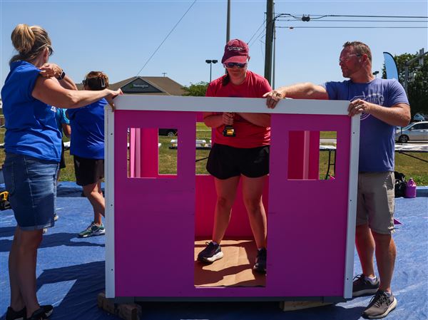 Springfield staff builds a playhouse for a deserving child