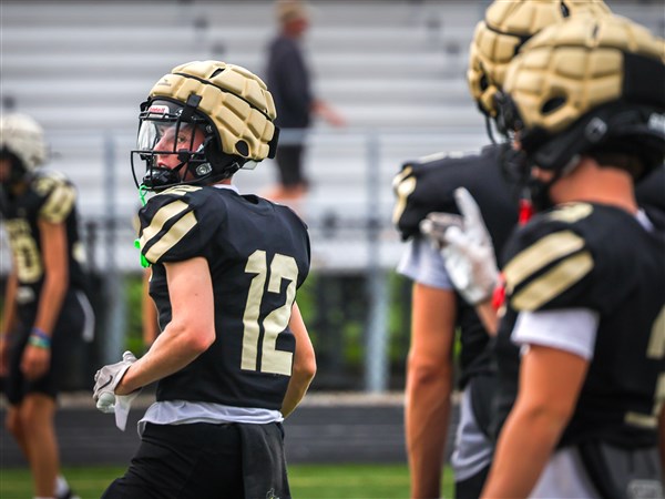 2026 NLL Buckeye Division preview: Perrysburg's experienced squad leads Whitmer, Anthony Wayne