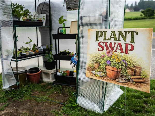 Plant swap stands take root across NW Ohio, SE Michigan