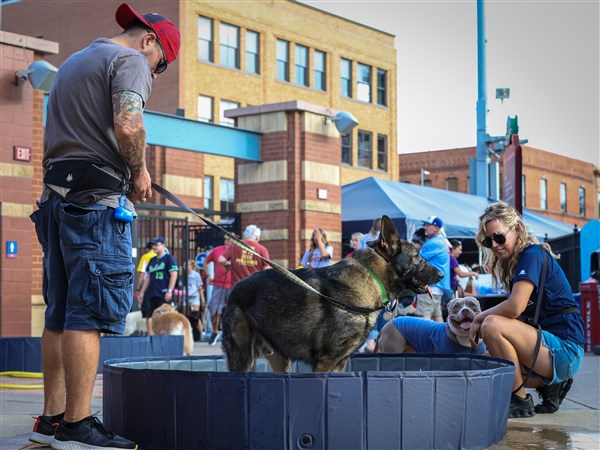 Photo Gallery: Hens &amp; Hounds night